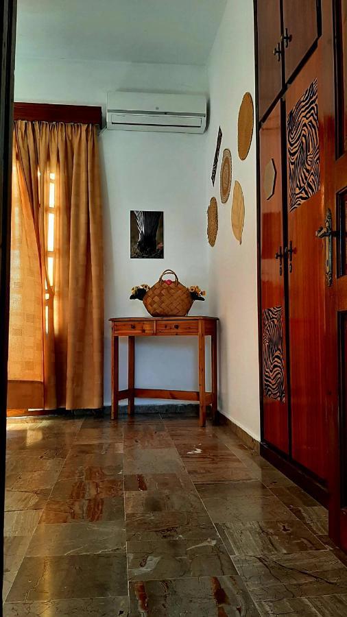 Serengeti Nap Comfy Rooms Сидарион Экстерьер фото