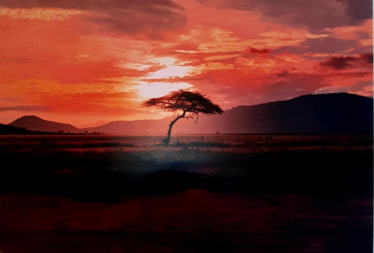 Serengeti Nap Comfy Rooms Сидарион Экстерьер фото